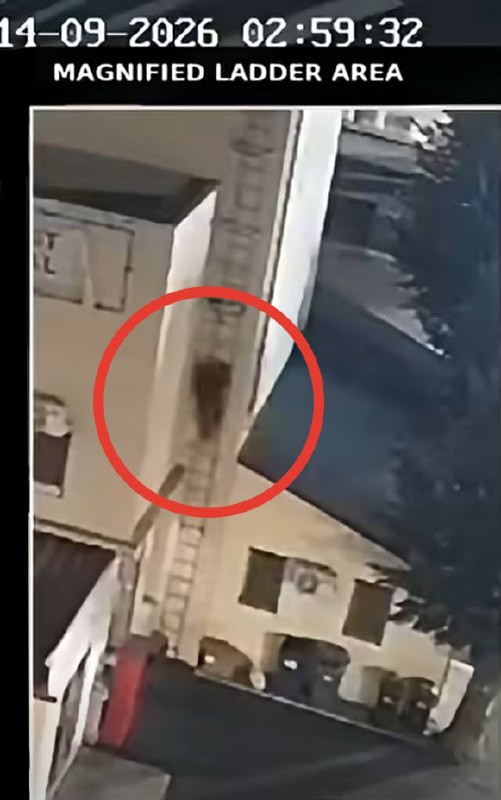 המודיעין הרומני חשף קבוצת חבלנים שהמטרה שלה הייתה מפעלים תעשייתיים במדינות האיחוד האירופי, וטוען כי המתאמים…