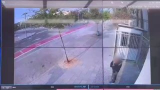 יולן כהן