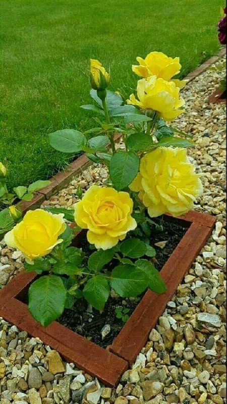 پارسبان: 🌸آخر هفته تون شاد و زیبا💖دستهاتون پرگل🌸شادیاتون پاینده💖زندگیتون عاشقانه🌸و خنده ارزانی چشماتون💖امیدوارم تعطیلات را 🌸در كن