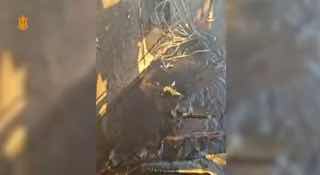 УНИАН - новости Украины | война с Россией | новини України | війна з Росією | УНІАН