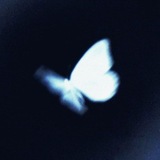 🦋ʙʟɪss ᴅᴜʙ🦋