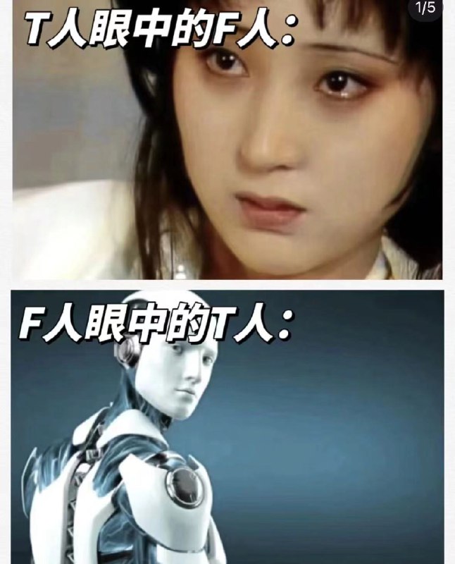 哥们对T人真的又爱又恨，怎么和机器人相处真的是我要终身面对的问题🚬