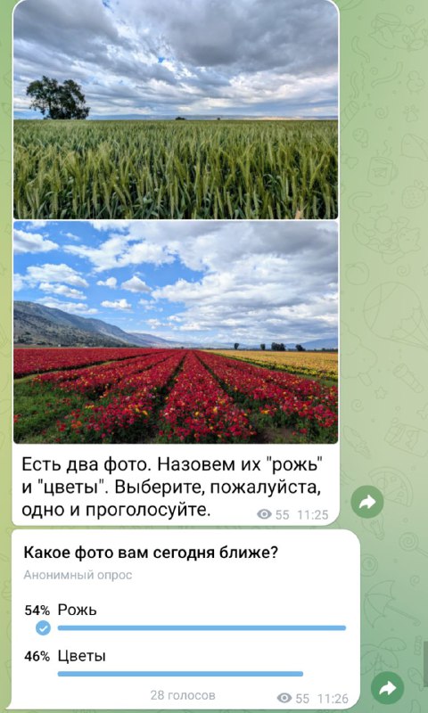 Фото из публикации
