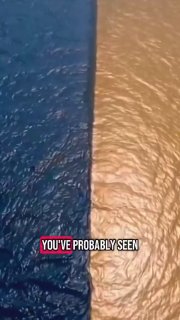 Ever wondered why two oceans don’t mix? This is a haloclineDid you know? 🎓