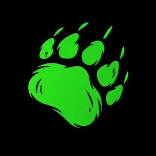 Telegram profile photo for Bear brute Ai space