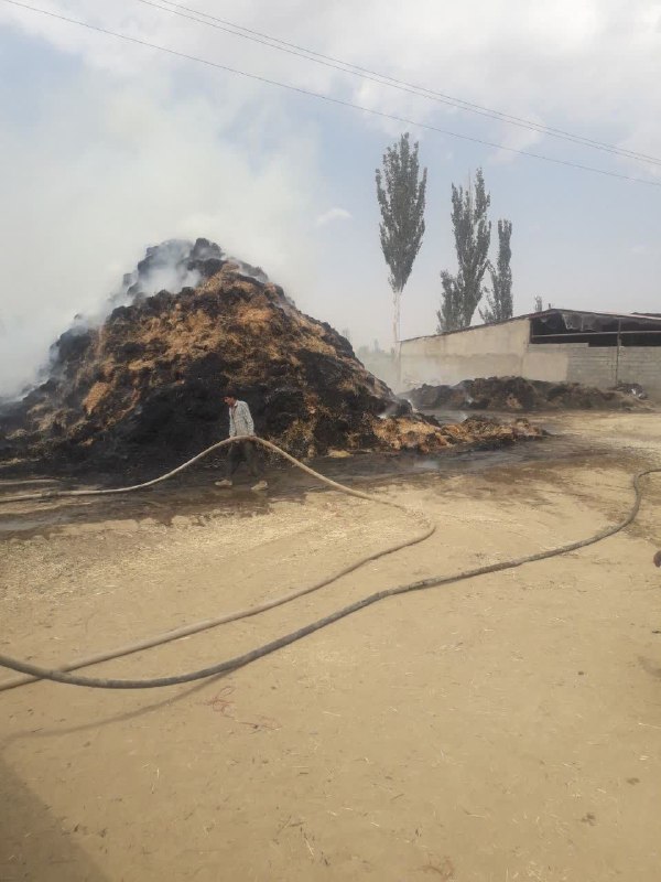 عصر همدان: 🔴مهار حریق گسترده دپوی علوفه در روستای امزاجرد 🔹بعدازظهر امروز یکم شهریورماه، در پی تماس شهروندان با سامانه ۱۲۵ مبنی بر
