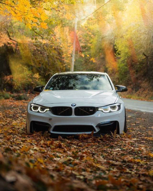 BMW M Powerhttps://t.me/bmw_mpower_club#bmw #mpower #bmwmpower #bmwworld #bmwmpo