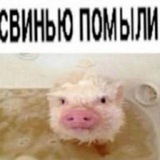: : ﹫ ℋ𝗈𝗉𝗂𝗄 𝗂𝗇𝖿𝗈 ୨ ৎ . °