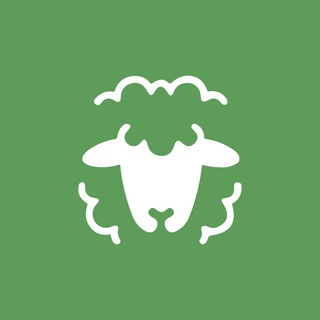 Ask Jazan | اسأل جازان