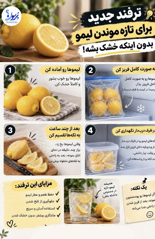سایت خبری پُرسون: 🔴پُرسون و ترفندهای آشپزی| لیمو رو تازه نگه دار، بدون دردسر! 🍋✨🔹یه ترفند ساده که باعث میشه دیرتر خشک و بیطعم بشه┄┅┅══✧❀