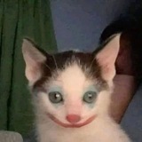 ВАСАБИ