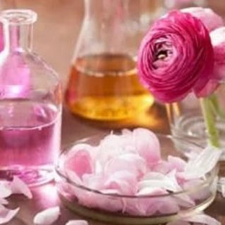 🌺Rose🌺 Telegram Group Link