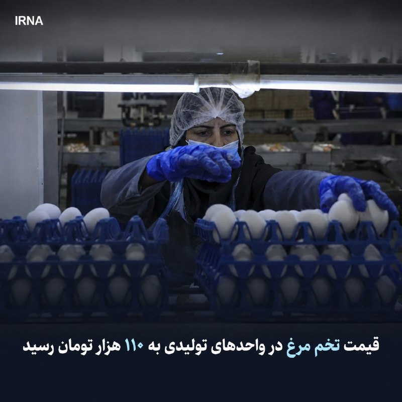 מנכ"ל איגוד מגדלי עופות מהן: