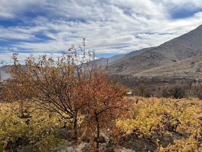 هزاوه تلگرام: 💟 #کمی_پاییز ...🍂😍روستای تاریخی و گردشگری #هزاوه @hezavegram #هزاوه_روستا_امیرکبیر_قائم_مقام