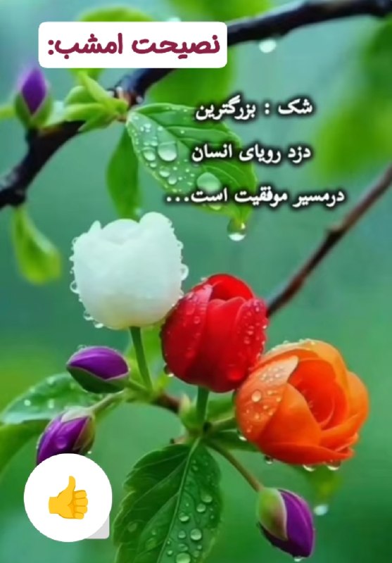 💓خوشگلترین عکس نوشته و استوری پاییزی اینستایی،آهنگ، کلیپ،ویدیو موزیک ،عکس انگیزشی،دعا،شکرگزاری ، صبح وعصر و شب بخیر،تولد، 💓: ☆ #نصیحت_امشب:🫰@mersikehastiypro