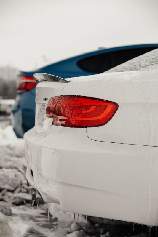 https://t.me/bmw_mpower_club