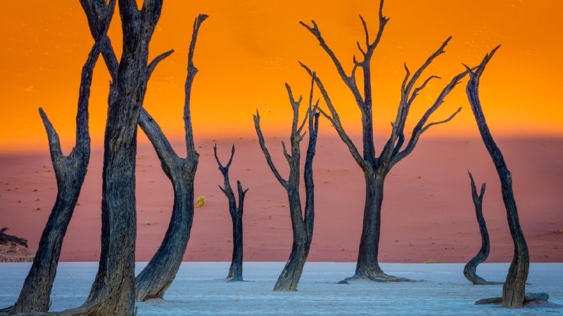 Ghosts of DeadvleiCamel thorn trees, Deadvlei, Namib-Naukluft Park, Namibia (© Inge Johnsson/Alamy)