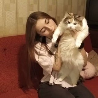 В Москве 18-летнюю котоняню из благотворительного фонда задушил бывший молодой человек.Студентка Олеся работала котоняней в фонде помощи животным, пострадавшим от человеческой жестокости — она жила на съёмной квартире в Люблино вместе с подопечными кошками