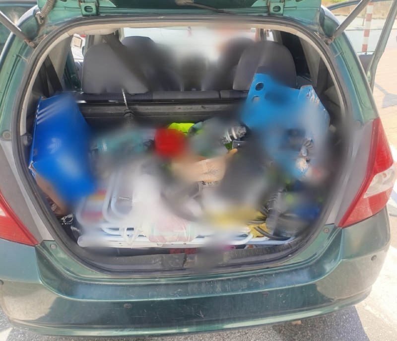 אור רביד