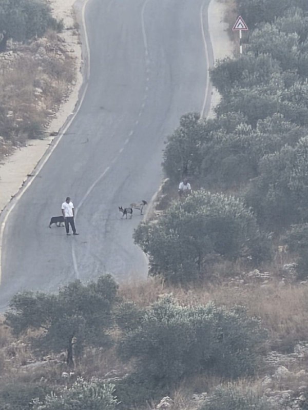 מתנחלים חוסמים כביש בין ראפאת לדיר בלוט, ממערב לסלפית