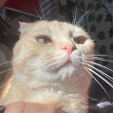 Щп канал 𝙨𝙖𝙩𝙞𝙧𝙚× 😼
