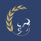 مدیریت دارایی گندم