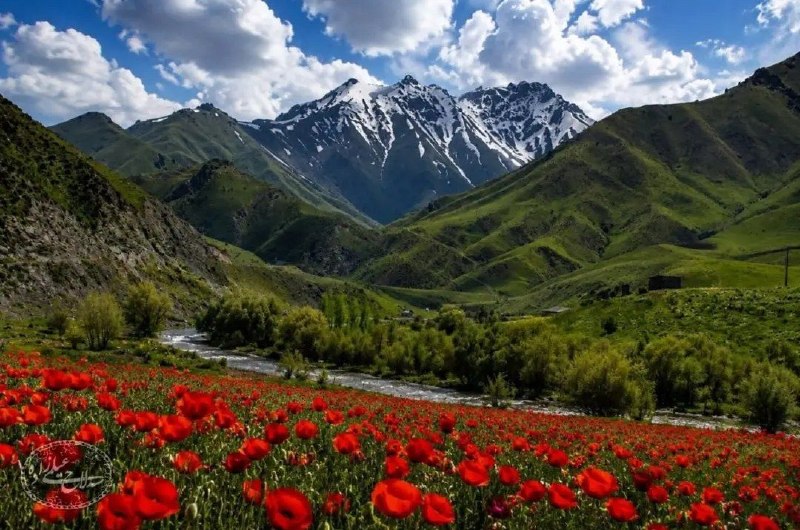 پایگاه خبری هاژه: 📆ئەمڕۆ شەممە🌺 ۳۱ی گەلاوێژی ۲۷۲۶ی کوردی🌺 ۳۱ی موردادی ۱٤۰۵ی هەتاوی🌺 ۲۲ی ئووتی ۲۰۲۶ی زایینی🌺 ۹ی ڕەبیعولئەوەڵی ۱۴۴٨ی مانگی📷