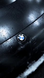 https://t.me/bmw_mpower_club