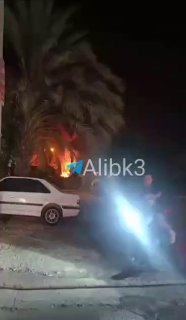 תוקפנות אמריקאית נגד בושהר