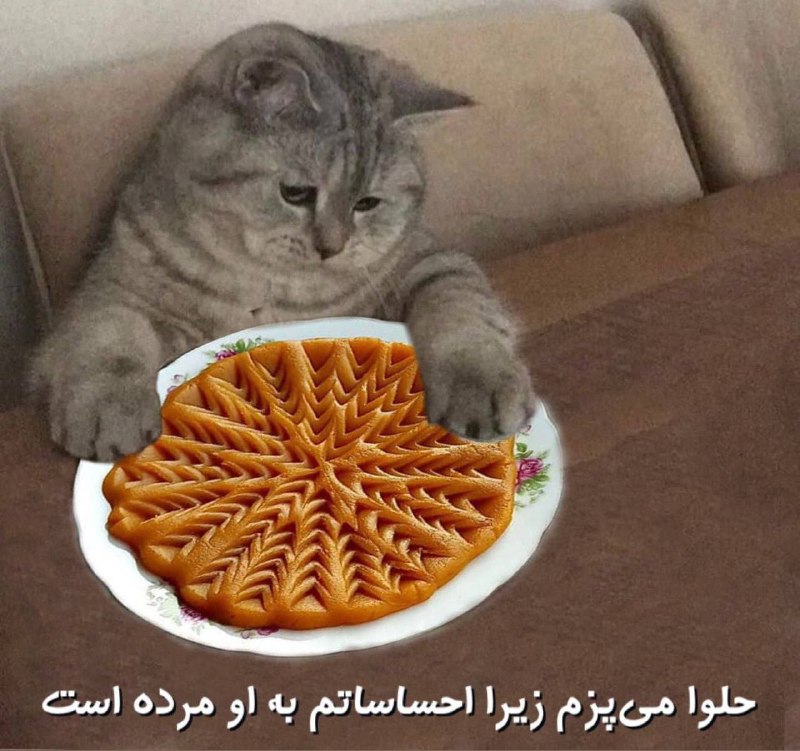توییتی: :))) 😂😭@TweetyChannel | Roham