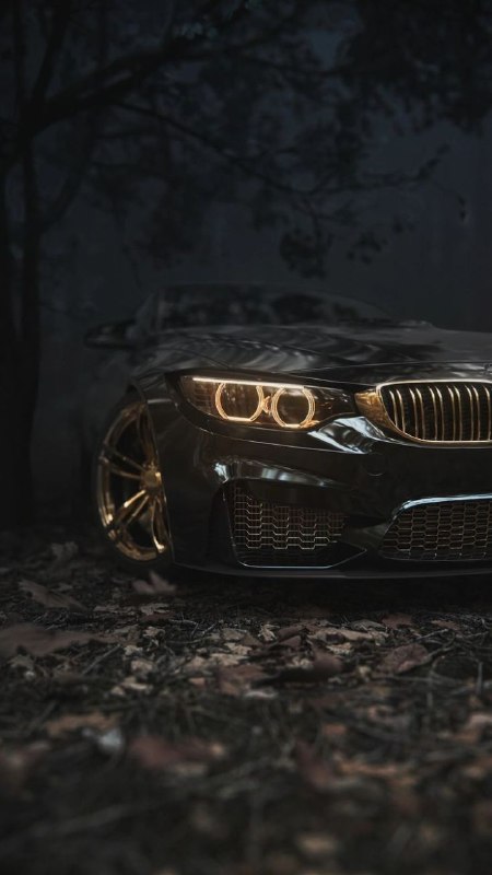 https://t.me/bmw_mpower_club