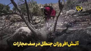 לאחר פרסום סרטון של אדם שהצית בכוונה את הר שיראז, החל גל מעצרים של מציתי יער במחוז פארס ועד כה נעצרו 9 בני…