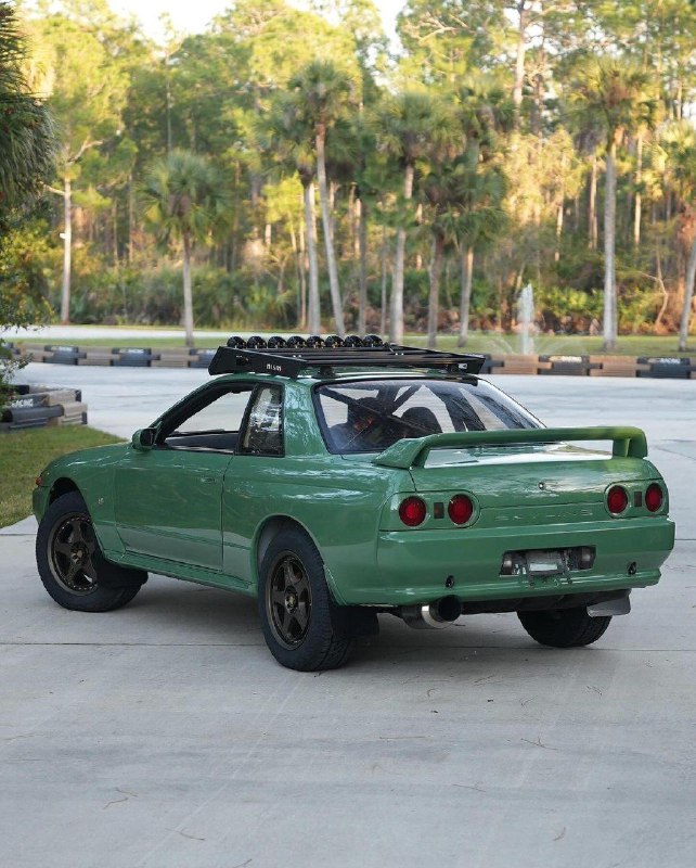 R32 Safari 2