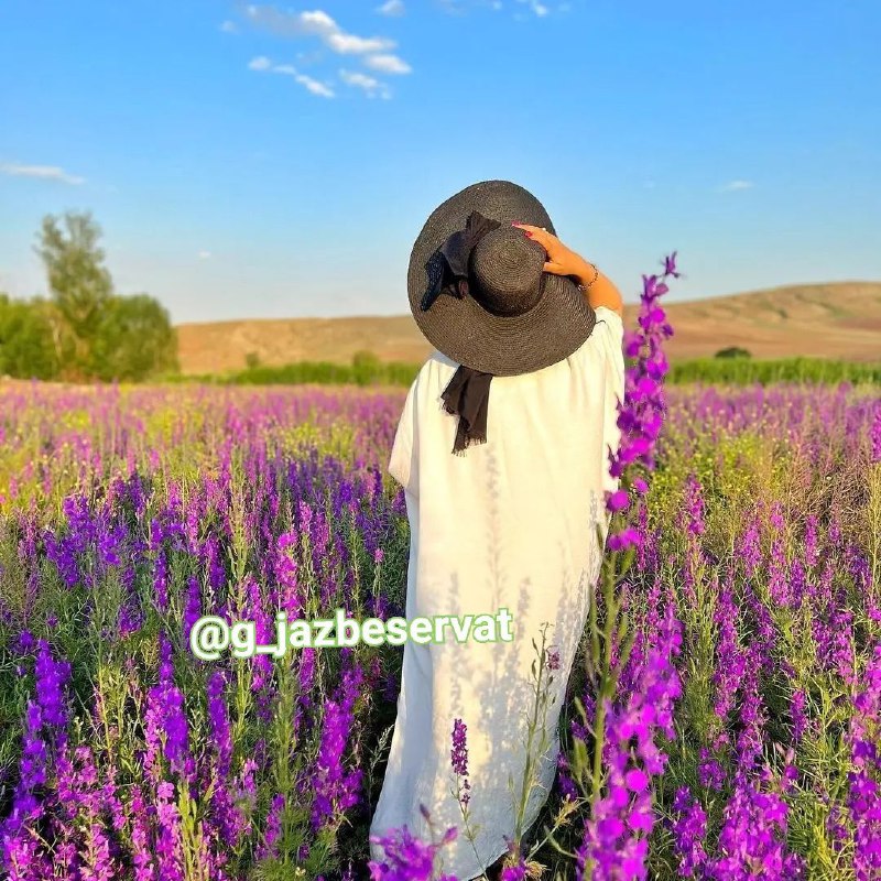 قانون جذب ثروت و موفقیت: 🌱 برای اینکه بتونید #انرژی_روانی خودتون رو حفظ کنید، باید بدونید که:1. قرار نیست همه تلاش‌هاتون به موفقیت ۱۰۰ درصد منجر 