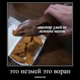 Воран нагенсов