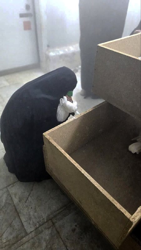 🇮🇶 חדשות אל נחיל 🇮🇶