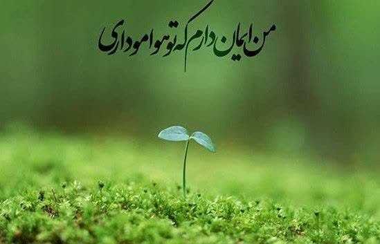 دوستداران استاد قرائتی: ✅ قطع علایق از غیر خداقرآن مهمترین راه نزاهت روح را "سلامت دل از محبت غیر خدا" می داند و می فرماید: تنها کسانی در قیامت