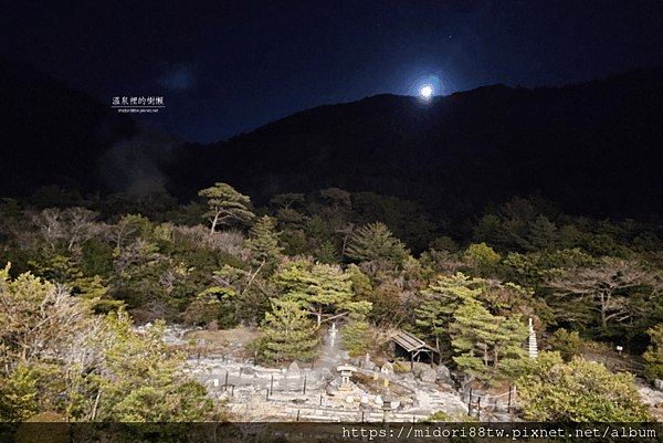 九州雲仙宮崎旅館及雲仙地獄的貓