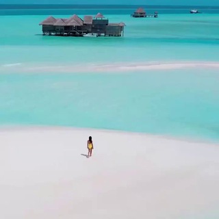 Telegram profile photo for Горящие туры из Сочи 🔥