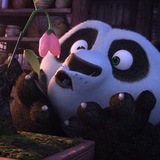 🐼ᡴꪫ . 𝗞𝘂𝗻𝗴 𝗙𝘂 𝗣𝗮𝗻𝗱𝗮 𝗖𝗼𝗻𝗳𝗲𝘀𝘀𝗶𝗼𝗻 ⟡ ┈ 🎋 ࣪ ₊ ১