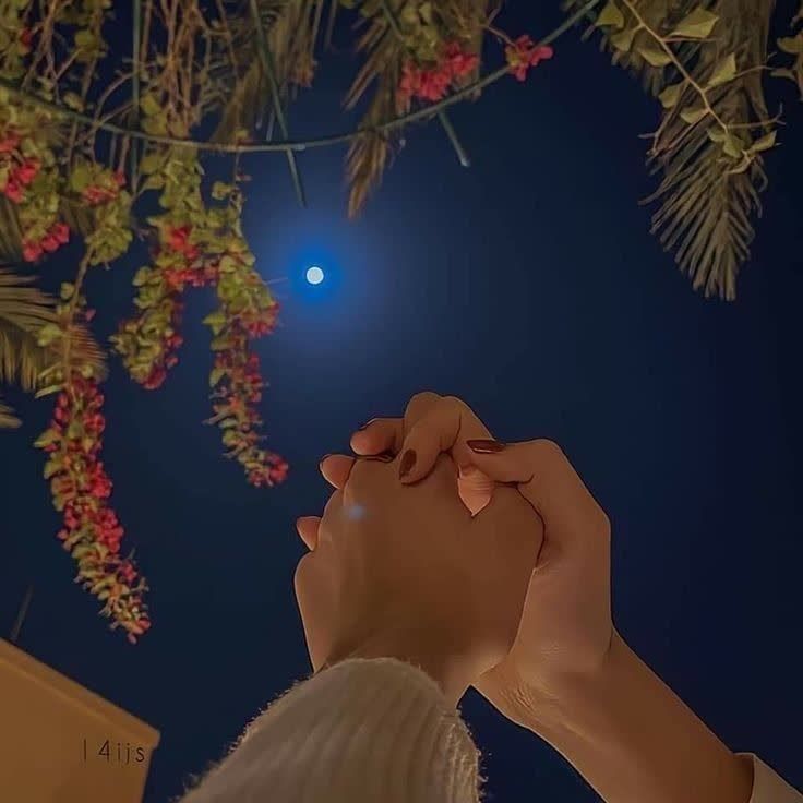♡عـشـ ᬸ💞ـق ابــ ᬸᮀ💞ـدی: شب بخیر یعنی :یک روز دیگر همراهت بودم،دوستت داشتم حواسم بهت بود،جز تو کسی برام مهم نبود...شبتون به عشق🍃🌺🍃 