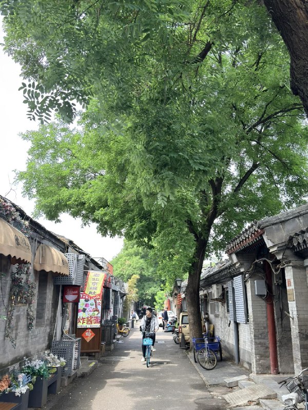 跟着老黄当一回北京游客第一次去南锣鼓巷第一次去潘家园各种纪念品文玩都比网上便宜北京人不坑游客啊跟着老黄当一回北京游客第一次去南锣鼓巷第一次去潘家园各种纪念品文玩都比网上便宜北京人不坑游客啊