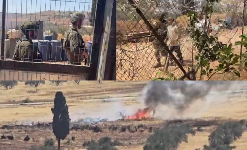 פצועים בתקיפה אלימה של צבא הכיבוש ומתנחלים באל-מוג'יר