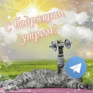 Сегодня ночью телегу удалили из App Store по всему миру на несколько часовИзначально ни Apple, ни представители мессенджера не объяснили причину произошедшего.Позже Apple прокомментировала ситуацию. В компании сообщили, что временно удалили телегу после пр