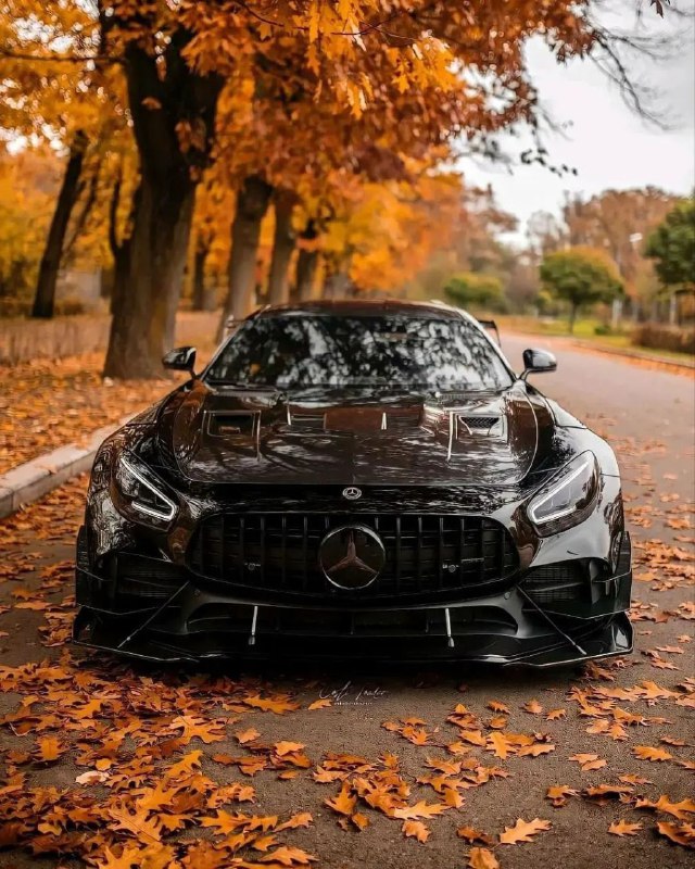 Mercedes-AMG GTR PRO