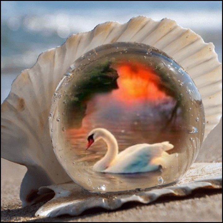 + TAP NAMAHDOD: 💕پروردگارا 🦢به ما بیاموز 💕حرمت دلها را 🦢از یـاد نـبـریـم💕به ما بیاموز که 🦢دوست داشتن را 💕فـرامـوش نکنیـم🦢و آنان کـه 💕دوس