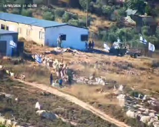 מתנחלים משחררים את בעלי החיים שלהם בין בתי התושבים בפאתי הכפר קריות, דרומית לשכם.