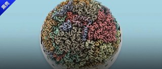 耗时10年，人类染色体4D图谱发布：揭开DNA折叠真相，探究不明遗传病原因一朋友发了Nature😊