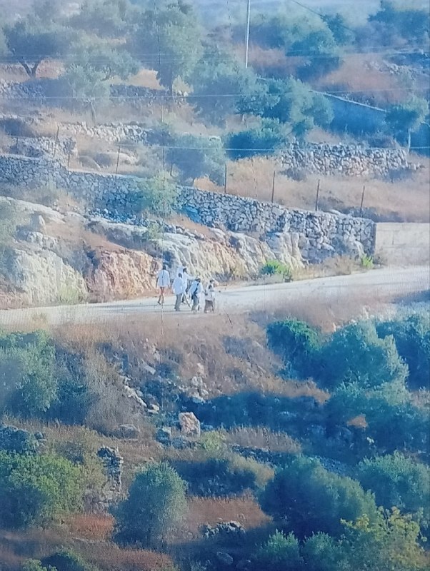 مستوطنون يقتحمون منطقة الحرايق قرب بيتا جنوب نابلس