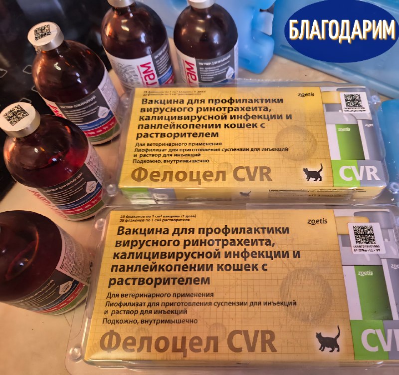 Друзья, у нас замечательная новость!
Благодаря...